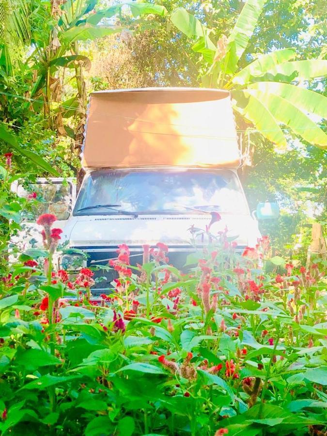 Rainbow Caravan Hostel Las Pilas Екстер'єр фото